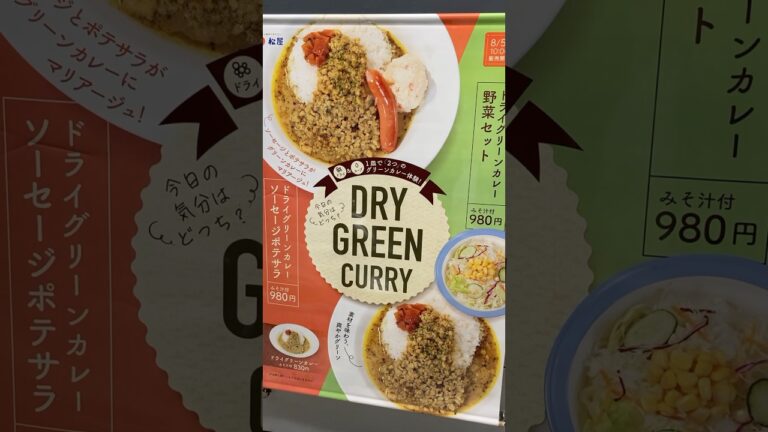 ドライカレーともスープカレーとも言いにくい松屋グリーンカレー #新商品 #松屋#グリーンカレー