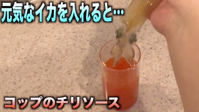 タイで大人気のイカをコップのチリソースに突っ込む料理が美味すぎる！　#shorts