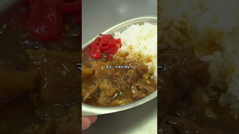 結局「牛すじ」と「玉ねぎ」だけのカレーが1番旨い