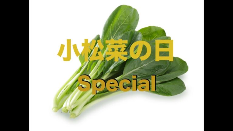 マシソヨ‼︎小松菜炒飯を作ってみた