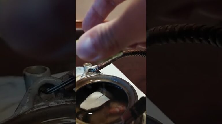 松茸の土瓶蒸しにスダチ