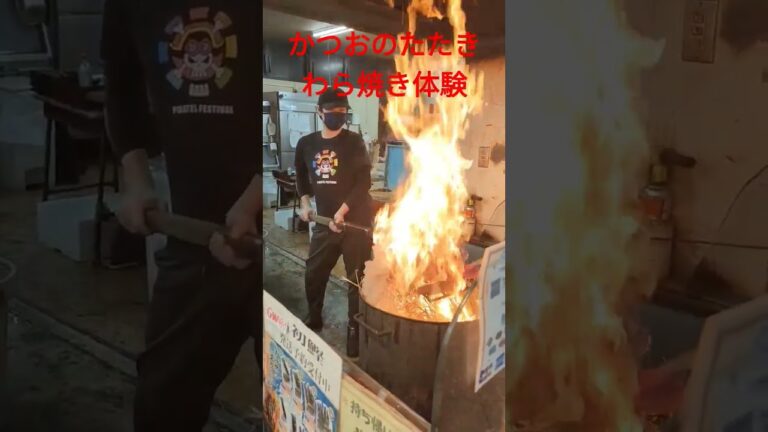かつおのたたき わら焼き体験に行ってきました #shorts#かつおのたたき#わら焼き#高知