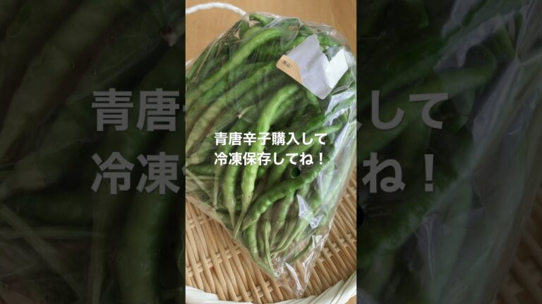 青唐辛子、生唐辛子は、この時期に購入して冷凍保存がおすすめです！