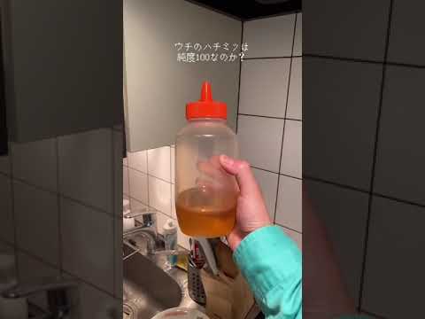 うちのハチミツは信じられるのか検証してみた。#shorts