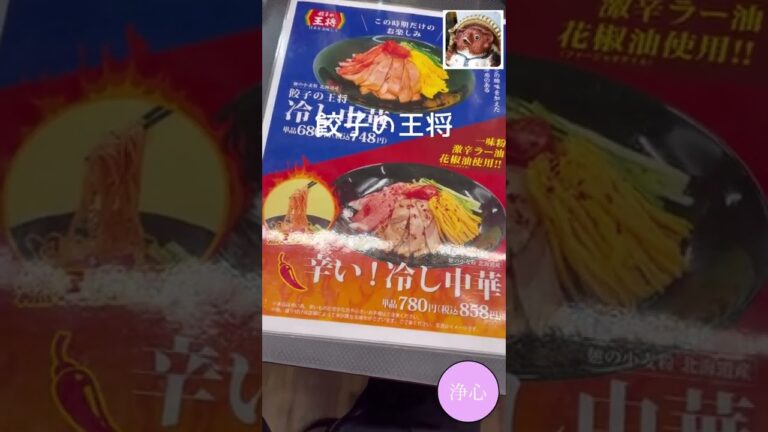 今年初めての冷やし中華を【餃子の王将】で食べた！カニカマを標準トッピングで何気に使う王将のセンスが好きだ！テイクアウトで餃子20人前も持ち帰った！#Shorts#名古屋#浄心#餃子の王将#冷やし中華