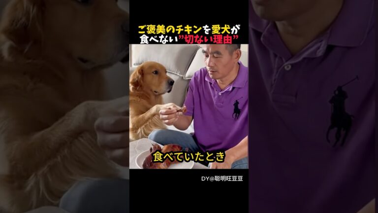 愛犬がチキンを持って行った場所は？