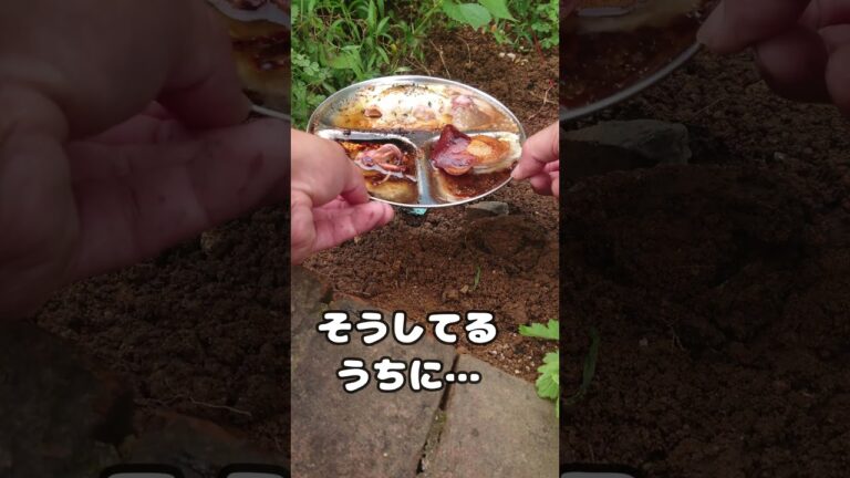 100円皿で３種イカ焼き