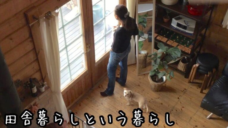 楽しみ方は無限大【田舎暮らし】庭や畑の様子｜VLOG｜東京から熊本へ！右も左も分からない土地で１７年｜５０代夫婦の移住生活