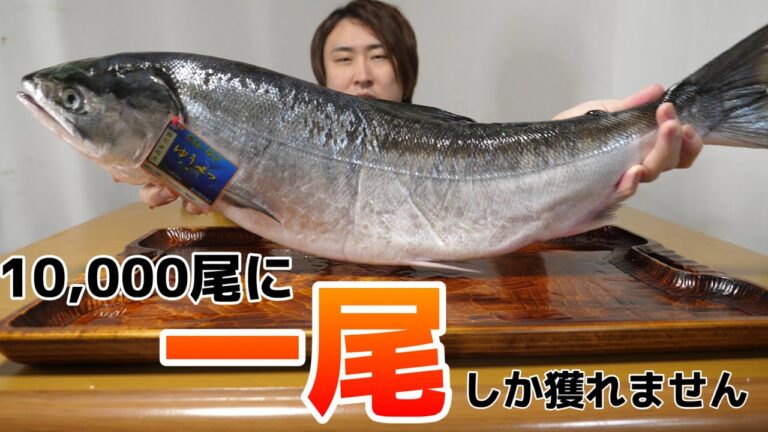 きまぐれクックが5年間探してた、世界一高いサケ『ケイジ』がついに手に入りした！！