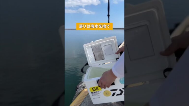 真夏日に釣れた魚どうやって持ち帰る？#shorts