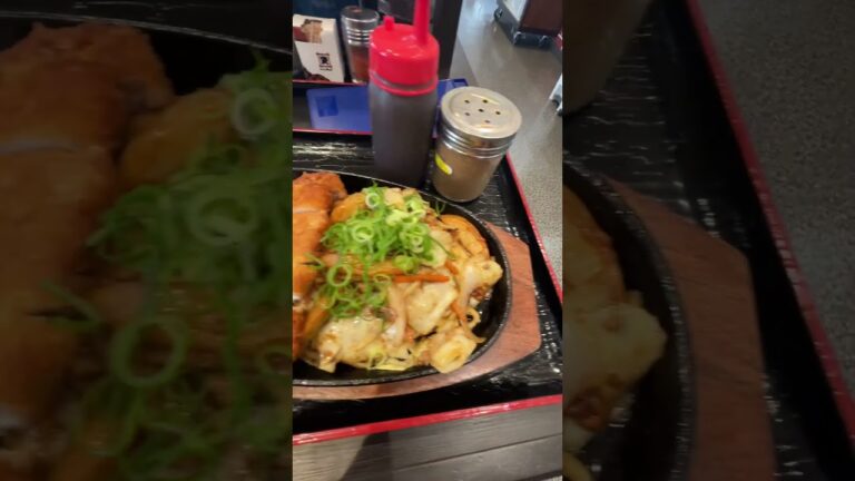 資さんうどん　カツのせ焼きうどん