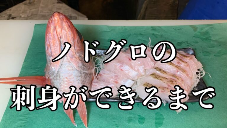 【築地】の魚屋が【ノドグロ】を刺身にするだけの動画A video of a fishmonger in Tsukiji just making sashimi