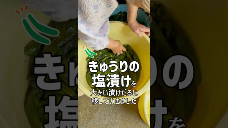 きゅうりの塩漬けを大きい漬けだるに移していくばあちゃん #shorts