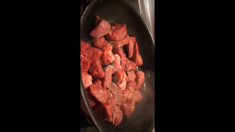 晩御飯は赤ワイン煮込み　#shorts #asmr #food #cooking #countryside #japan #料理