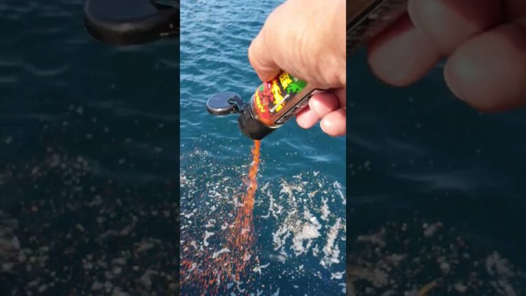 激辛ハバネロを海に流すと強烈すぎる