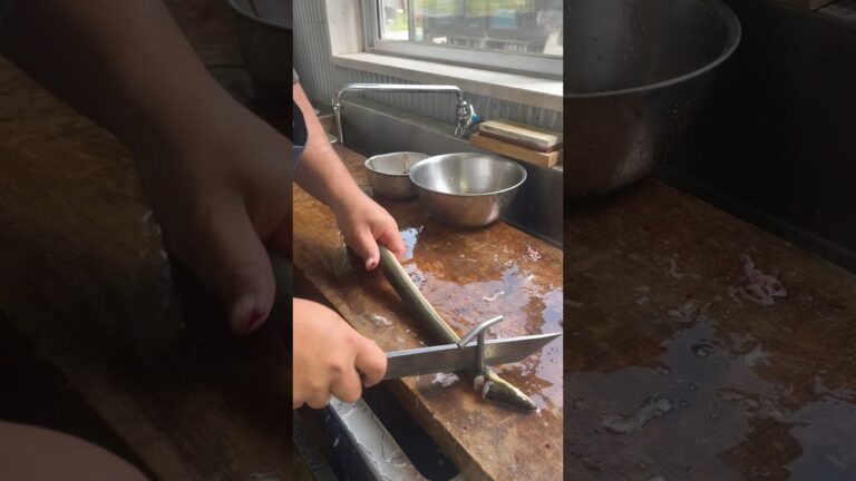 漁師がうなぎを捌くとこうなる　#うなぎ　#天然うなぎ　#うなぎ捌き