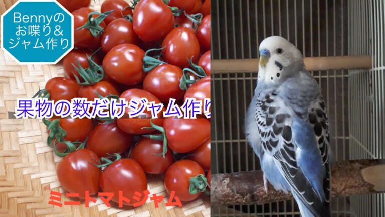 【2022 ミニトマトジャム】Benny の簡単ジャム作り