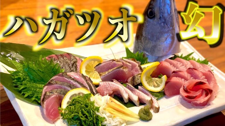 【ハガツオ】【捌き方】幻の歯鰹を捌いて燻して食べて優勝する！