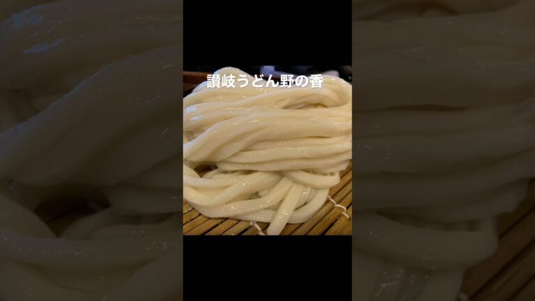 讃岐うどんの名店『野の香』（浜松市）