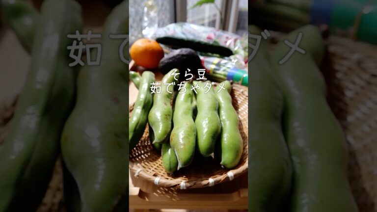 そら豆は焼きましょう