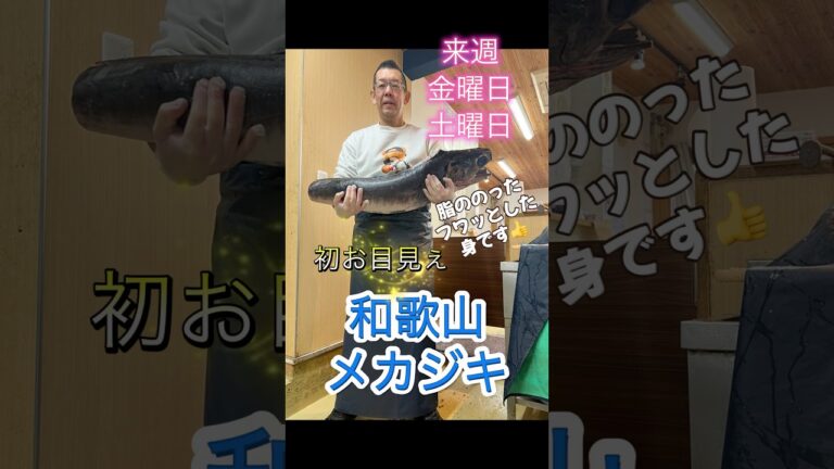 【初お目見えメカジキのフライ。私も来週の試食楽しみ】　#shorts  #カジキ  #白身魚のフライ