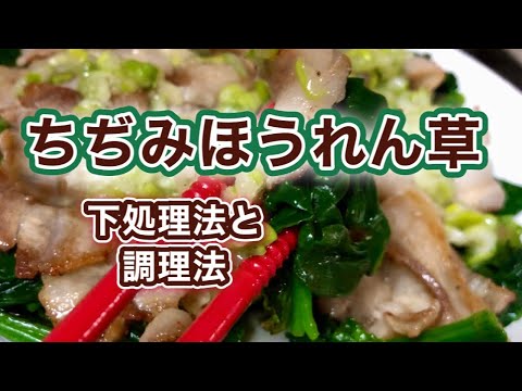 【ちぢみほうれん草】美味しく食べる下処理と定番から絶品レシピまで