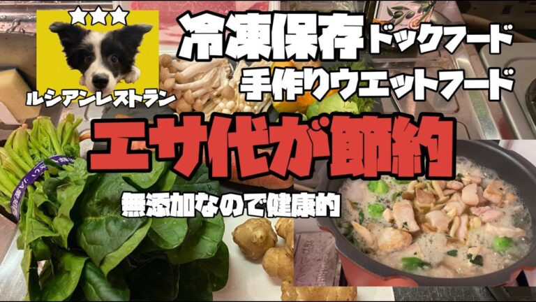 【中型犬・大型犬】エサ代が節約　栄養満点　満足ご飯【ボーダーコリー】