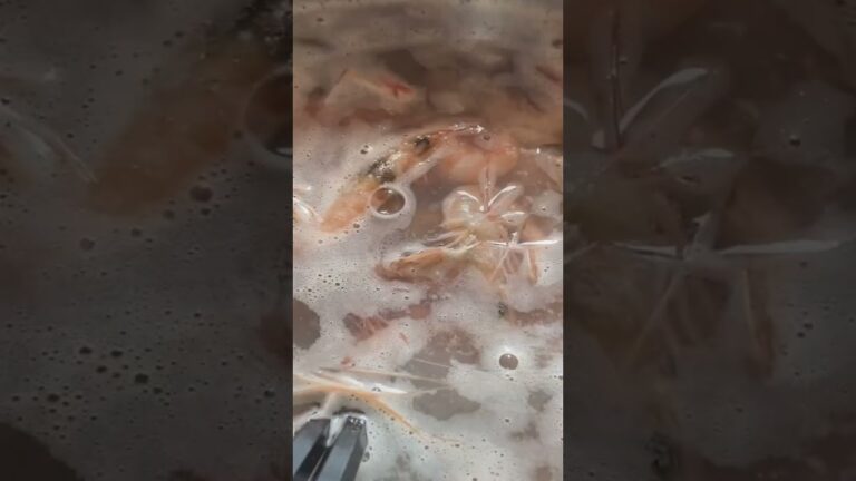 手がとまらない海老茹で #short #漁師 #海老