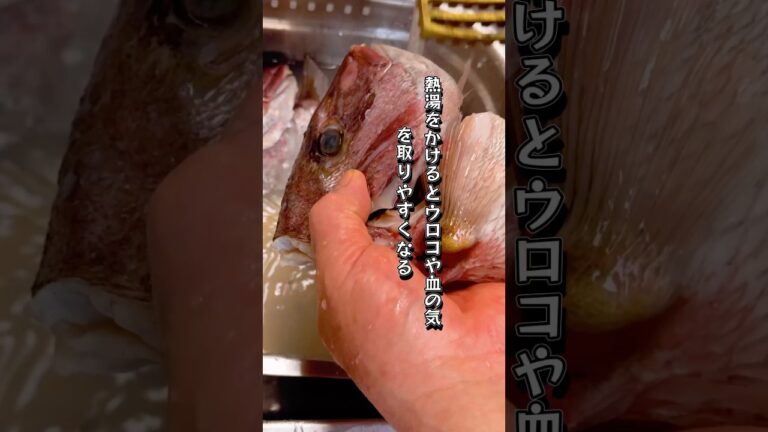 【裏技】こんなに旨い鯛のあら煮が簡単に出来る！下処理編 #料理 #cooking #japanesefood #ショート動画