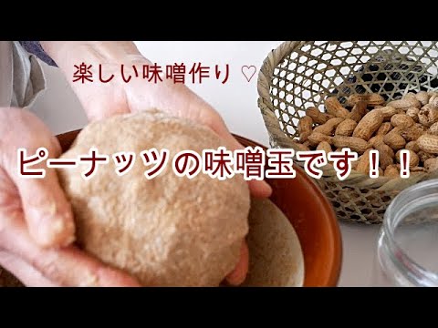 【味噌作り】おばあちゃんのチャレンジ味噌作り!!ピーナッツで味噌を仕込んだらどうなる？未知なる味への挑戦⁈味噌!!楽しく作ります(*^-^*)