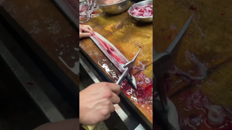 鰻職人による鰻捌き。一年半目　修行中　Japanese eel craftsman in training  part2