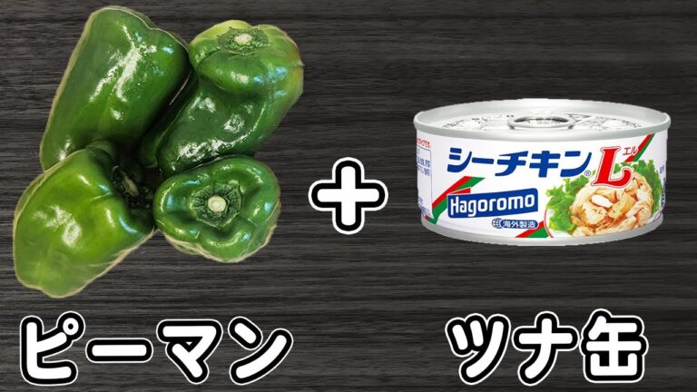 【ピーマンとツナ缶の簡単レシピ4品】夏野菜大量消費　箸が止まらない美味しいおかずレシピ　お手軽副菜の作り方