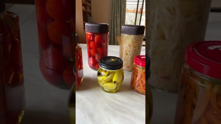 【丘の上のモネの家】ミニトマトやにんにくはオリーブオイル漬けして保存がいい！　楽しく作ろう常備食！＃ミニトマトの保存方法　#オイル漬け　#常備食