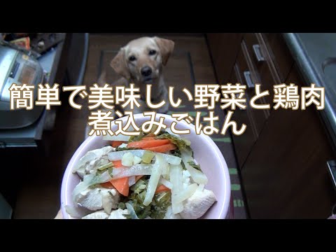 大型犬の手作りご飯：鶏肉と野菜煮込みごはん（簡単）