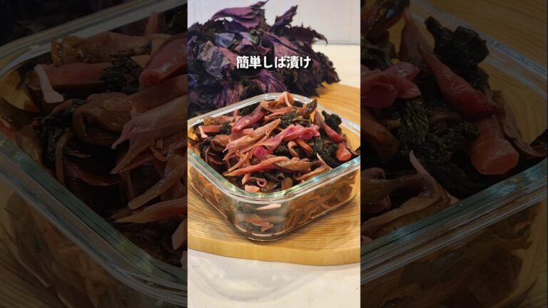 乳酸菌たっぷりで体に嬉しい発酵しば漬け