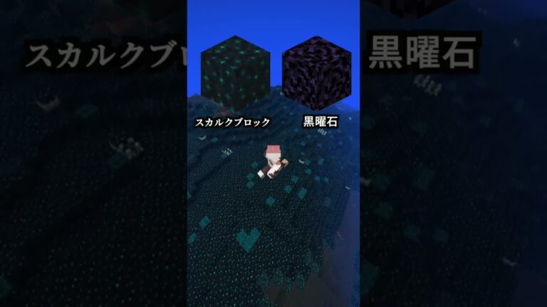 【マイクラ】99.9%の人が知らないウォーデンゲートの入り方の秘密