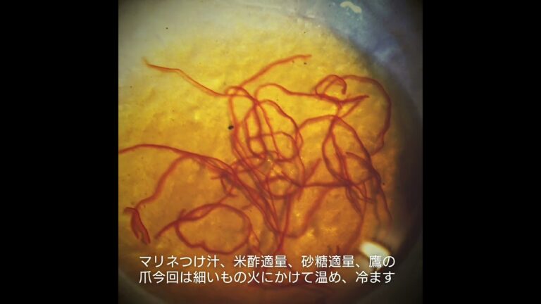 イワシの梅シソ巻き揚げとイワシの揚げマリネを作ってみた