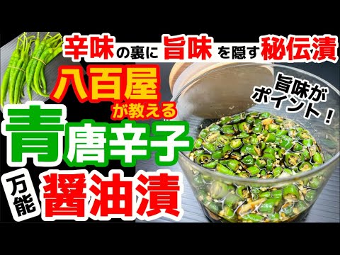 作ったら旨すぎて手離せない【青唐辛子の醤油漬け】何でも使える万能漬けレシピ！パスタ・素麺・うどん・豆腐・刺身。八百屋の下処理・下ごしらえ・作り方解説！おつまみに数滴で旨味爆発！アレンジ・味噌・食べ方