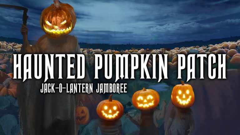 Spooky Sounds from the Haunted Pumpkin Patch 🎃 Jack-O-Lantern Jamboree