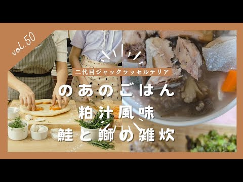 vol. 50粕汁風味　鮭と鰤の雑炊