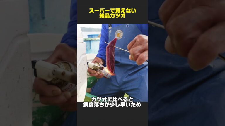 市場に流通しない"激レアカツオ"をとった瞬間捌く!!  #九石漁協組合
