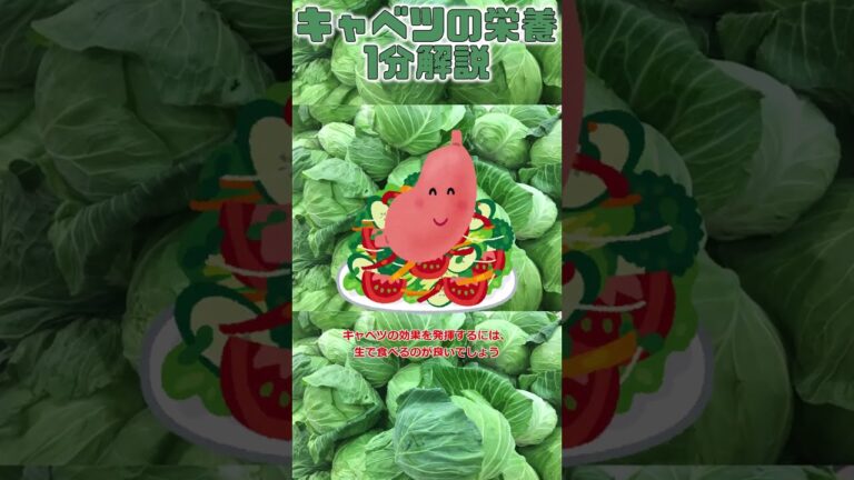 【ゆっくり解説】忙しい人のためのキャベツの栄養を1分で解説！ #Shorts