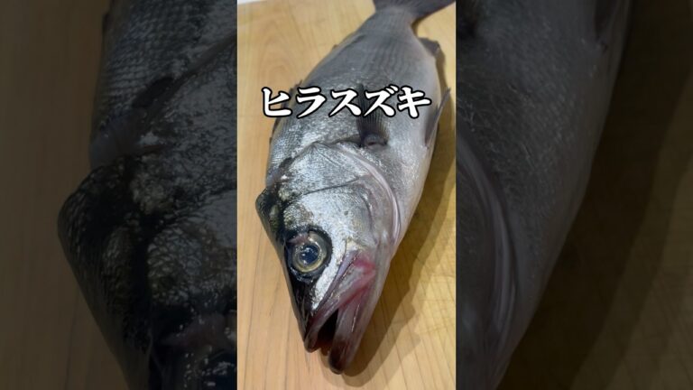 【簡単】美味しすぎるカルパッチョの作り方！　　#料理 #カルパッチョ #魚 #ヒラスズキ #釣り