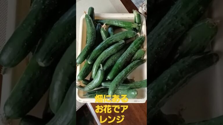 畑‼️花🌷アレンジ‼️キュウリつくだ煮‼️つくれます‼️