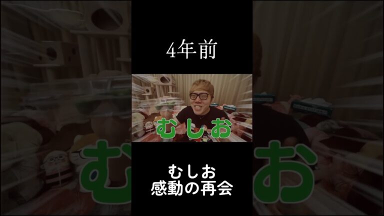 HIKAKIN、4年前に飼ってたむしおと感動の再会。　#むしお　#ヒカキン #毛虫 #shorts