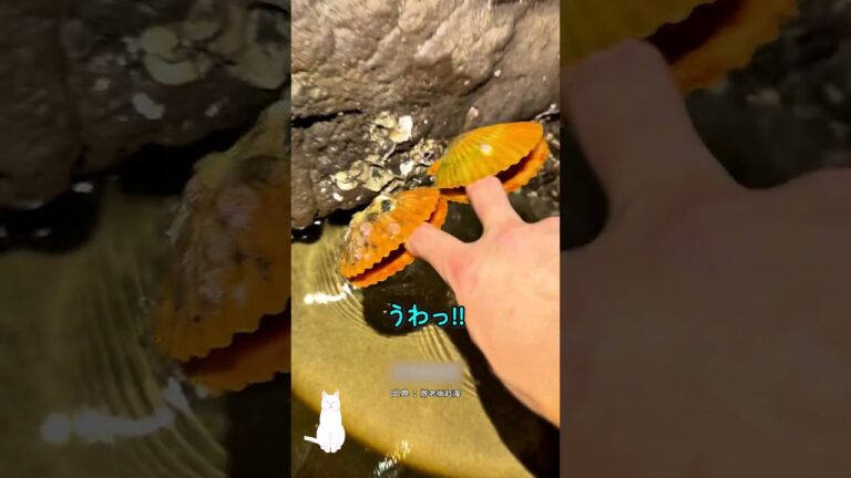 何でも超新鮮に食べる男