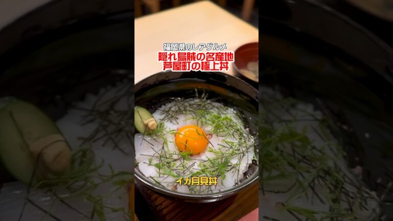 【福岡】芦屋町の極上 イカ月見丼が3150過ぎる #コクあり #コクありグルメ #delicious #福岡グルメ