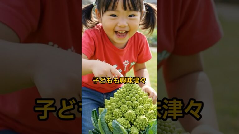 【衝撃】宇宙野菜!? ロマネスコの秘密10選｜ブロッコリーじゃないよ！