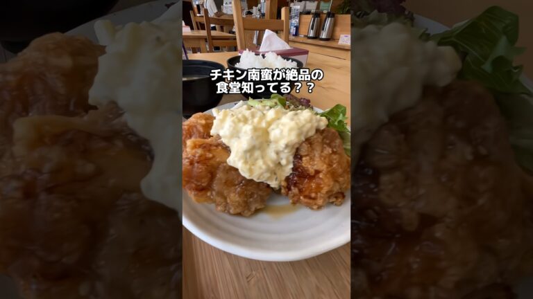 🍚 タルタルたっぷりの大きなチキン南蛮が絶品👌店員さんの接客も最高👍🍚おふくろ食堂🍚チキン南蛮