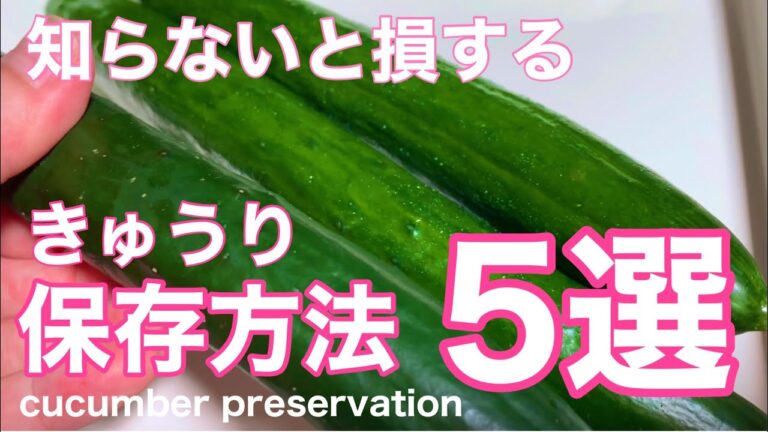 【きゅうり】胡瓜の保存方法5選❗️知らないと損する胡瓜の保存法と下処理Cucumber